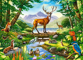 Woodland Harmony, puslespil med 300 brikker (B-030408)