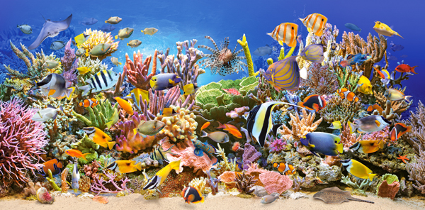 Underwater life, puslespil med 4000 brikker (C-400089)
