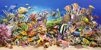 Underwater life, puslespil med 4000 brikker (C-400089)