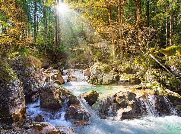 The forest stream, 2000-bitarspussel (C-200382)