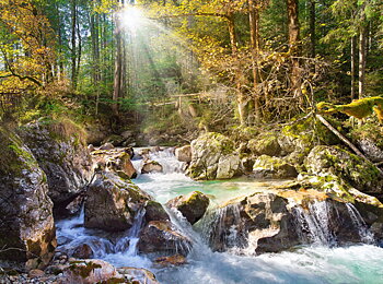The forest stream, puslespil med 2000 brikker (C-200382)