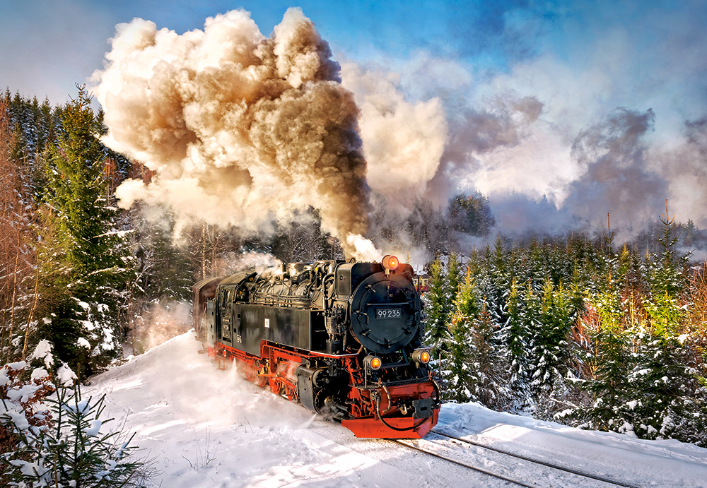 Steam Train, 1000-bitarspussel (C-103409)