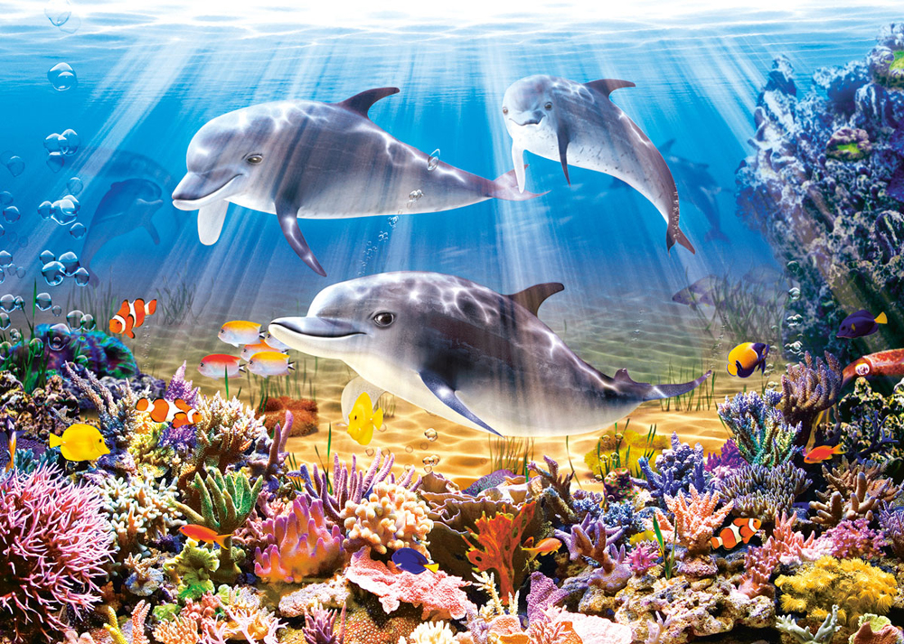 Dolphins Underwater, puslespil med 500 brikker (B-52547)