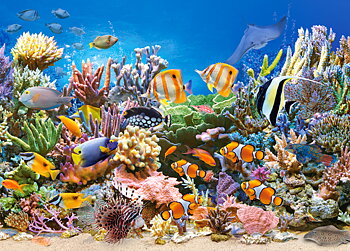 Colours of the Ocean, 260-bitarspussel (B-27279)
