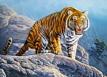 Tiger on the Rock, puslespil med 180 brikker (B-018451)