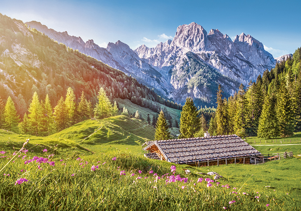 Summer in the Alps, 500-bitarspussel (B-53360)