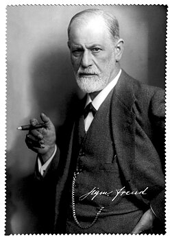Brilleetui med pudseklud, Sigmund Freud TEMA-produkt