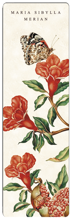 Bogmærke i pap, Granatæble, Maria Sibylla Merian