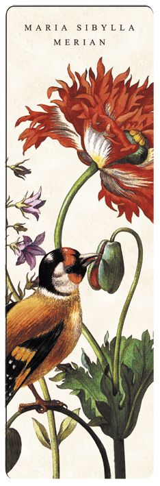 Bogmærke i pap, Fugl, Maria Sibylla Merian