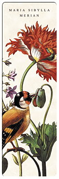 Bogmærke i pap, Fugl, Maria Sibylla Merian