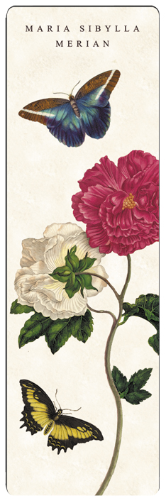 Bogmærke i pap, Rose hvid og rosa, Maria Sibylla Merian