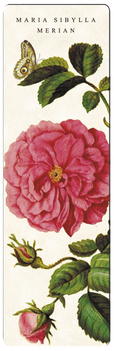 Bogmærke i pap, Rose stor, Maria Sibylla Merian