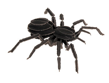3D-papirmodel, Fugleedderkop