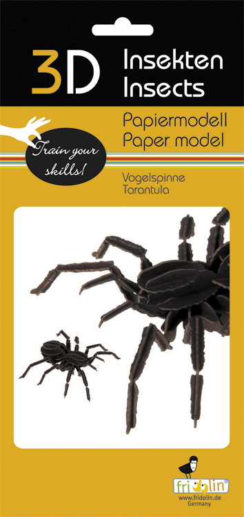 3D-pappersmodell, Fågelspindel - 2