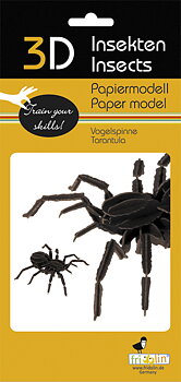 3D-papirmodel, Fugleedderkop