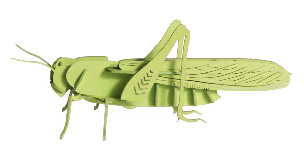 3D-papirmodel, Græshoppe