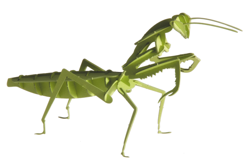 3D-pappersmodell, Bönsyrsa