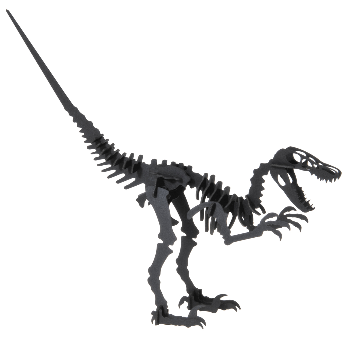 3D-pappersmodell, Velociraptor