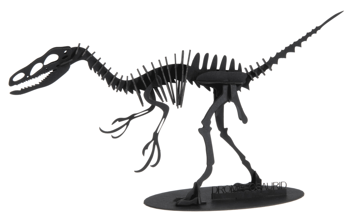 3D-pappersmodell, Dromaeosaurus