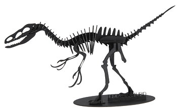 3D-papirmodel, Dromaeosaurus