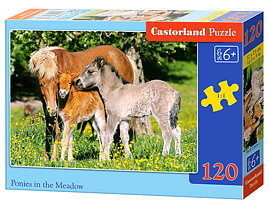 Castorland, 120 bitar, Ordinarie sortiment