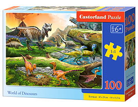 Castorland, 100 bitar, Ordinarie sortiment