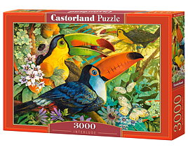 Castorland, 3000 bitar, KIDEK Tema