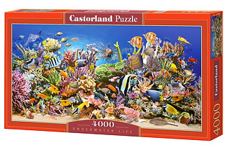 Castorland, 4000 bitar, Ordinarie sortiment