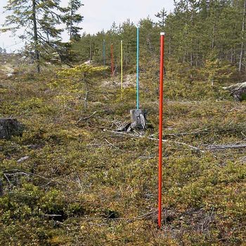 Rågångskäpp 1,8m Blå