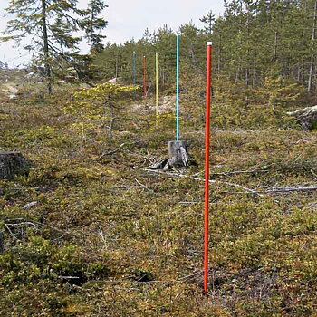 Rågångskäpp 1,5m Gul