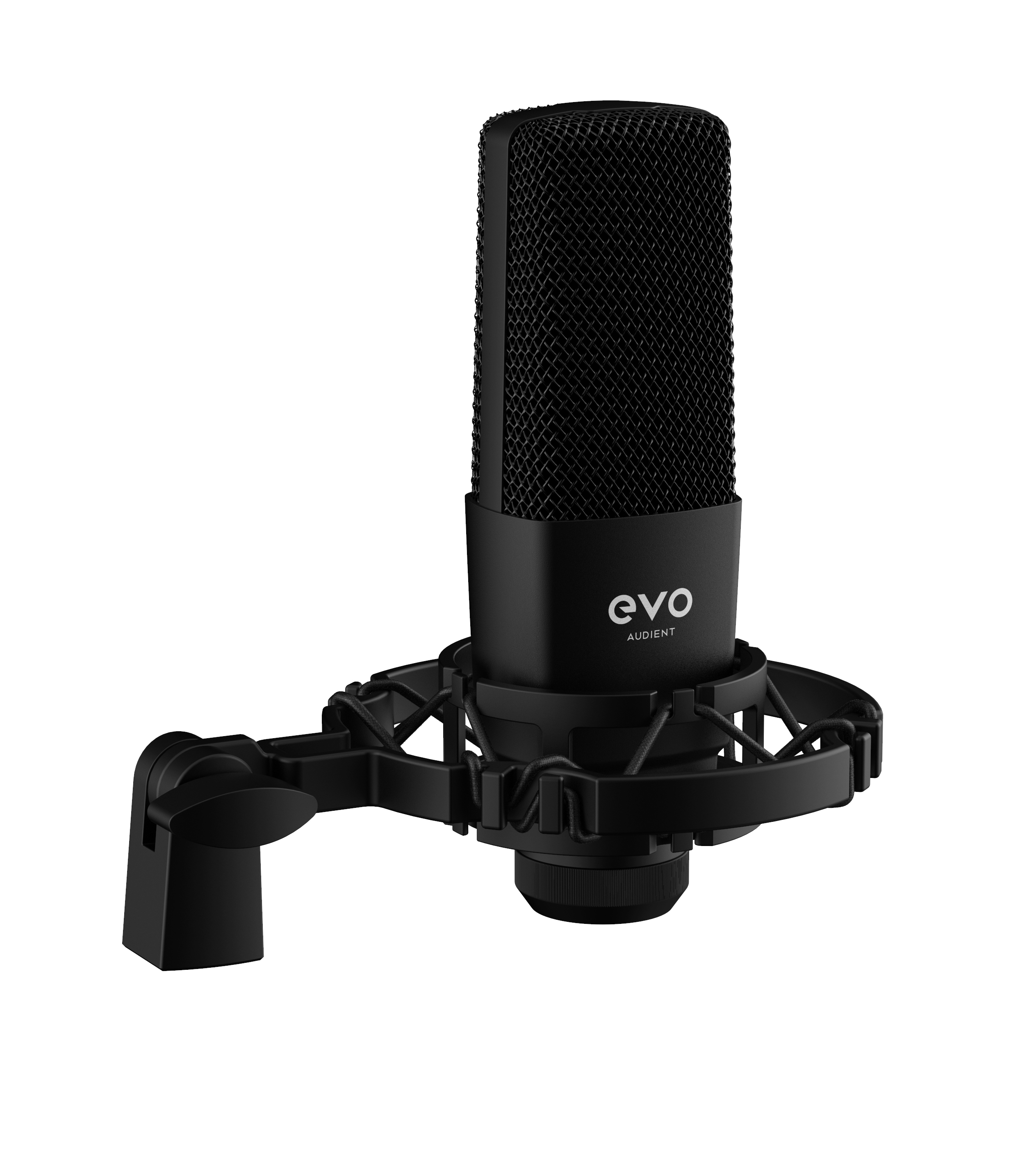 AUDIENT EVO Start Recording Bundle - 2