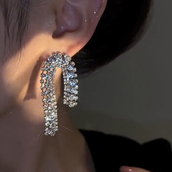 VACC Horseshoe Shaped Earrings Silver
