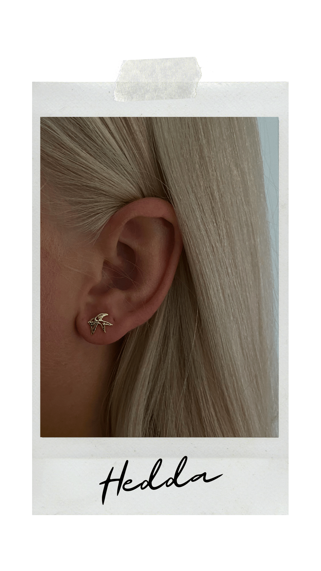GOLD PLATED SILVER STUDS | HEDDA - 2