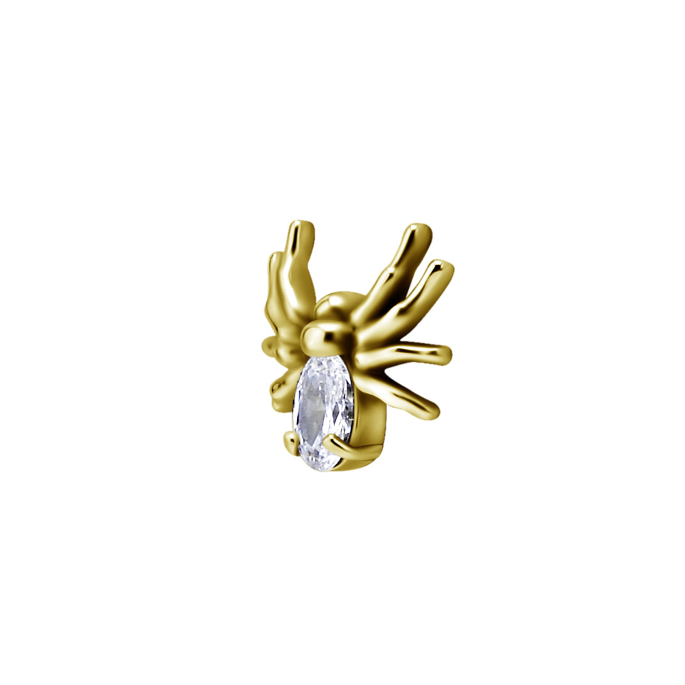 Topp till invändigt gängad labret - spindel- 24K guld PVD - 2