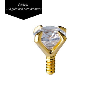 Topp - 2 mm - 18K äkta guld och äkta diamant