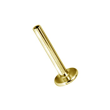 Invändigt gängad labret - guld PVD 
