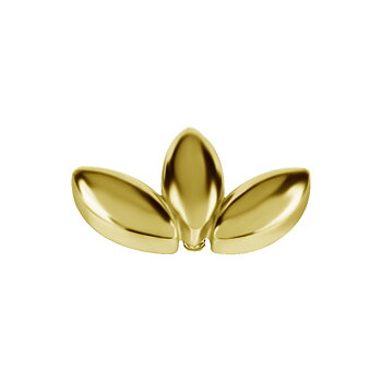 Topp till invändigt gängad labret - lotus- 18K guld PVD