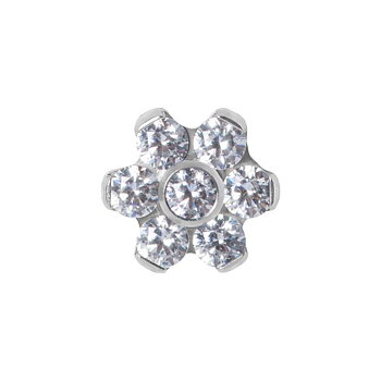 Topp till invändigt gängad labret - blomma -316L Titan