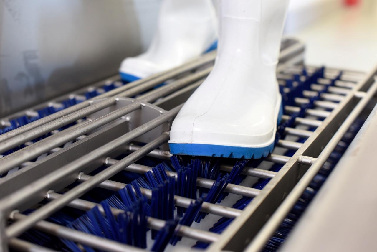 Neptun HCS1 hygiensluss med handdes - 6