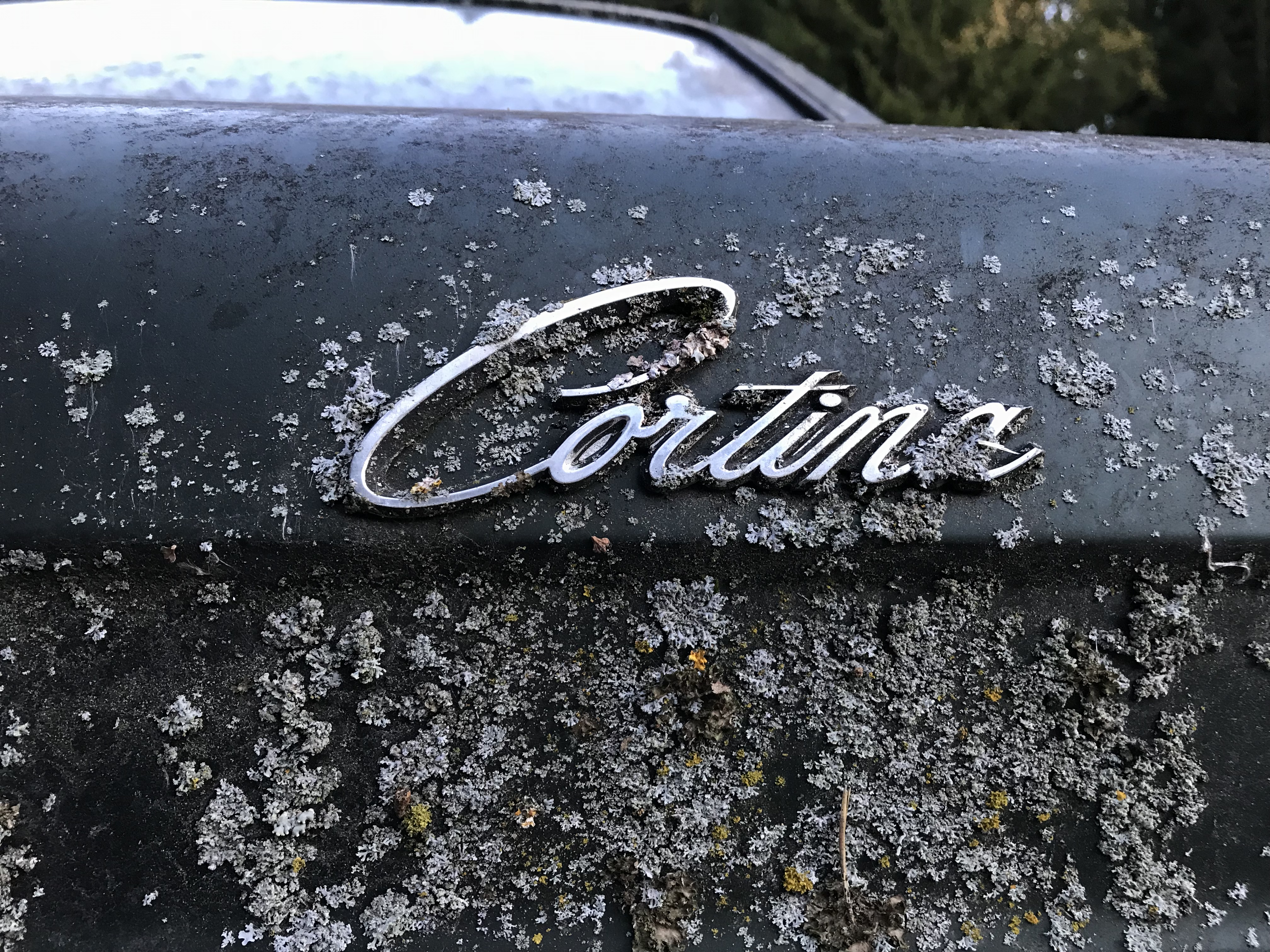 Ford Cortina - Purkuauto (myydään osina) - 12