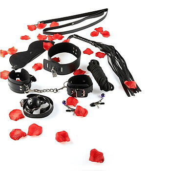 Toyjoy Just For You BDSM Starter Kit