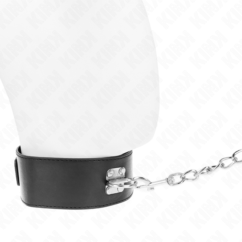 Basic Model With Leash 65 Cm - 3