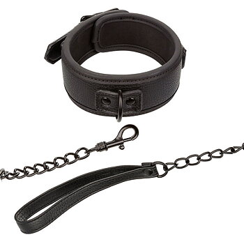 Calexotics Nocturnal Collar Leash Leather Adjustable