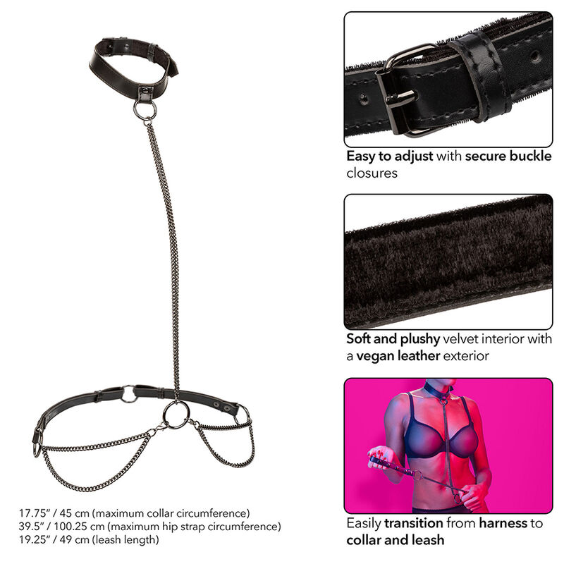 Calexotics Euphoria Chain Halter Collar Leash - 3