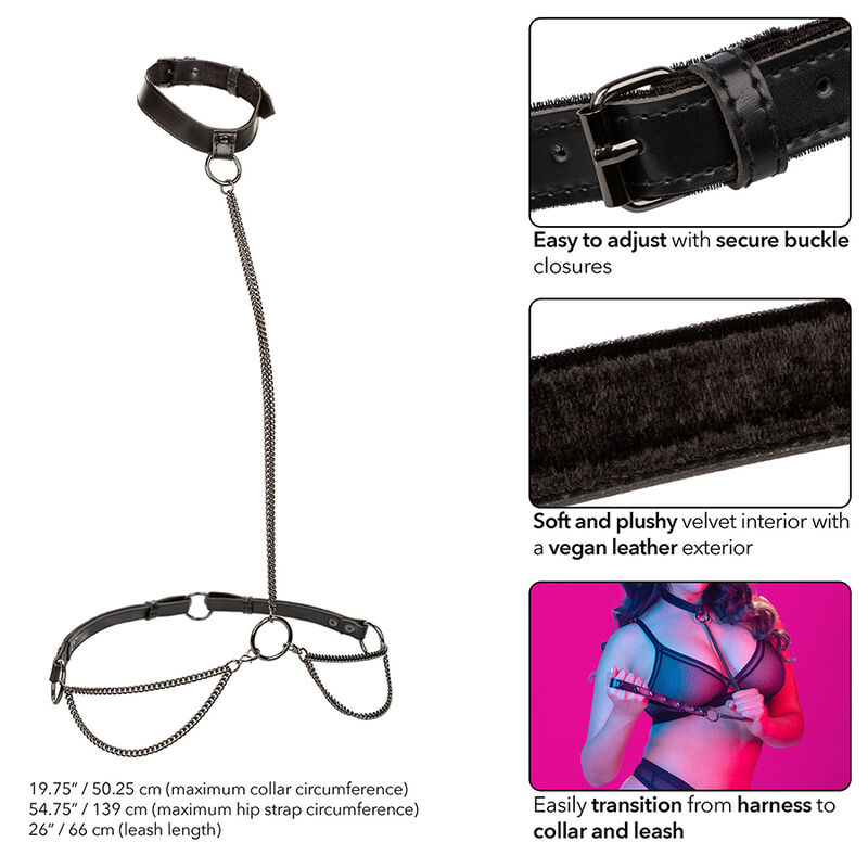 Calexotics Euphoria Chain Halter Collar Leash Plus Size - 5