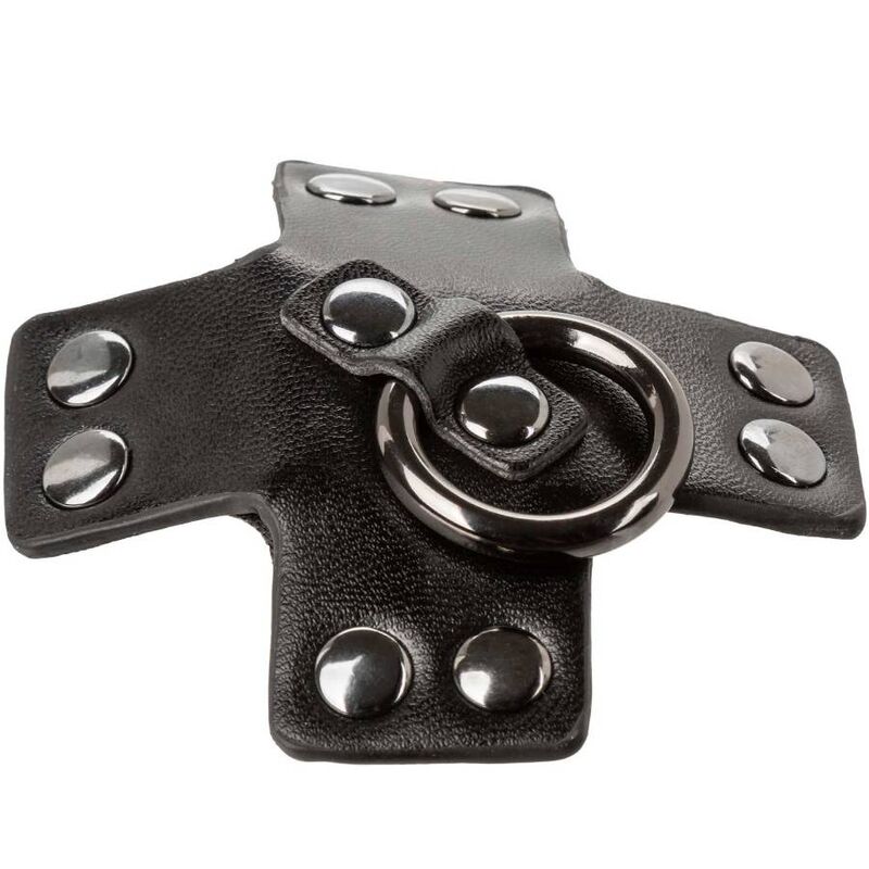 Calexotics Euphoria O Ring - 5