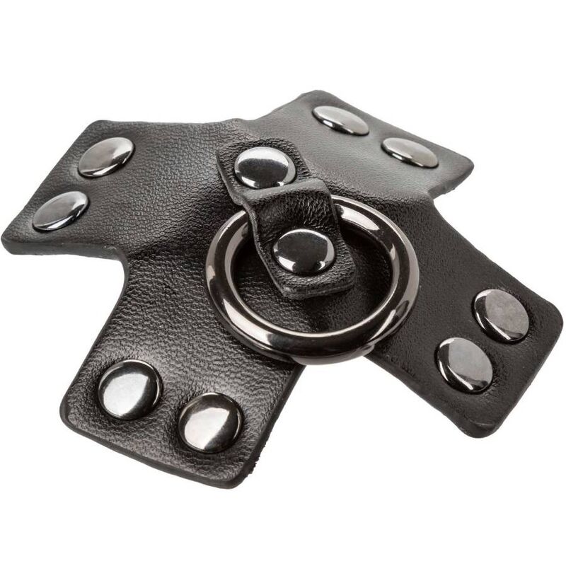 Calexotics Euphoria O Ring - 4