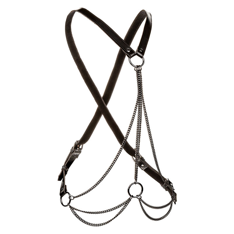 Calexotics Euphoria Multichain Harness Premium Plus