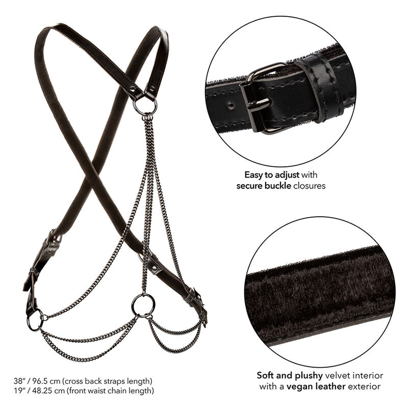 Calexotics Euphoria Multichain Harness Premium Plus - 3