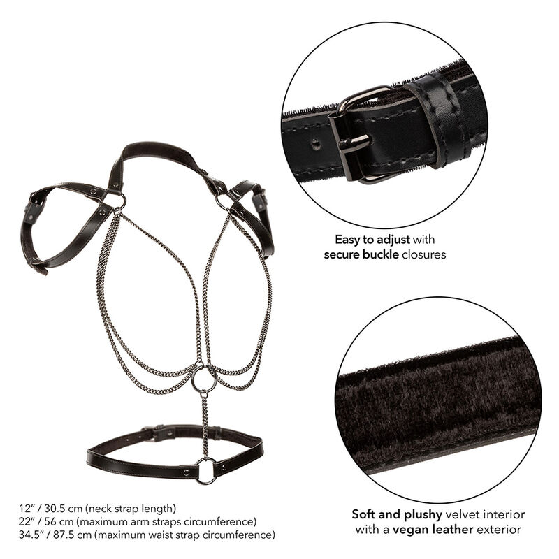 Calexotics Euphoria Multichain Halter Harness Premium - 3